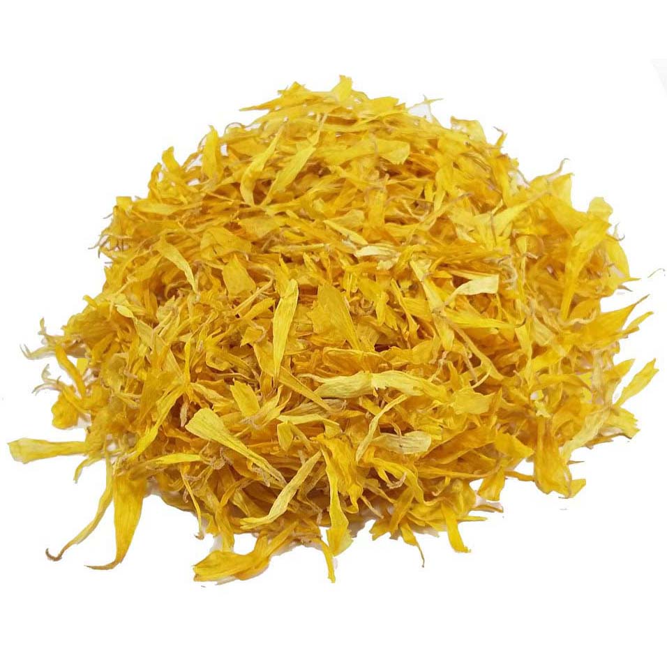 Calendula