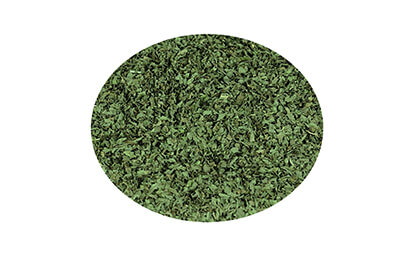 Spearmint