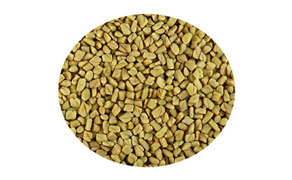 Fenugreek